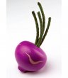 Erzi - Kohlrabi