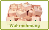 Wahrnehmung